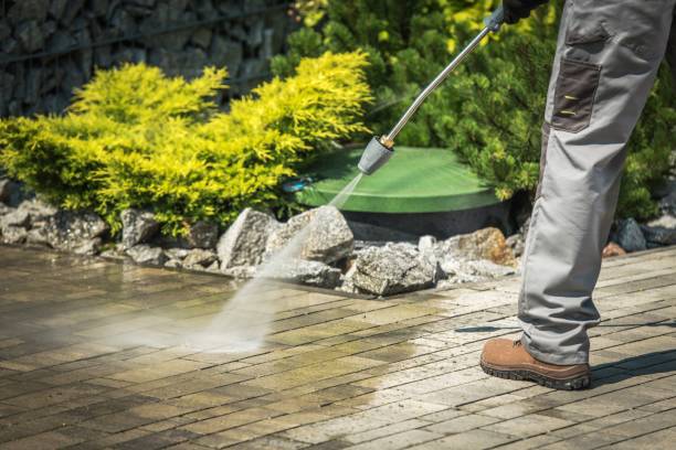 Best Fence Cleaning and Maintenance in Hempstead, TX