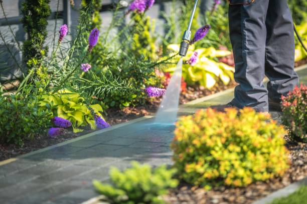 Best Commercial Pressure Washing in Hempstead, TX