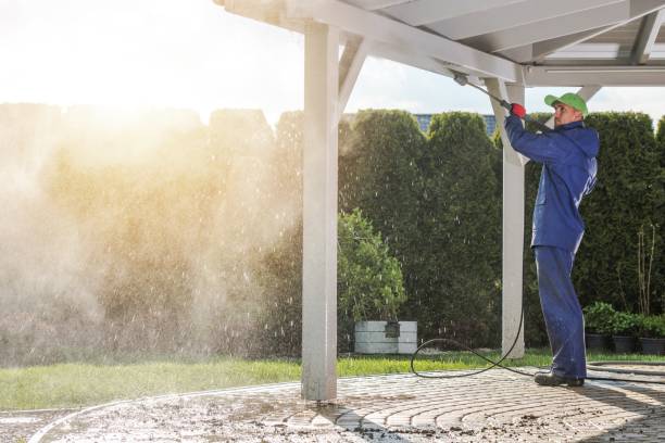 Best Vinyl Siding Pressure Washing in Hempstead, TX